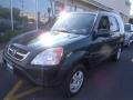 2003 Clover Green Pearl Honda CR-V EX 4WD  photo #1