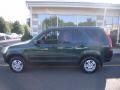 2003 Clover Green Pearl Honda CR-V EX 4WD  photo #2