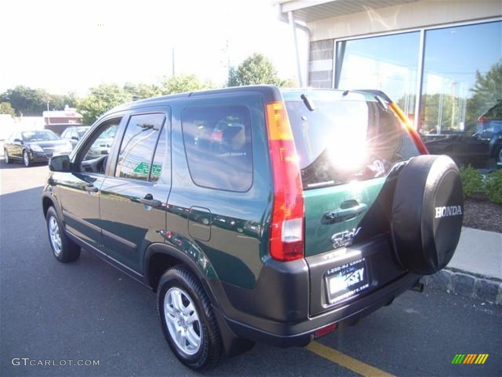 2003 CR-V EX 4WD - Clover Green Pearl / Saddle photo #3