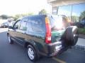2003 Clover Green Pearl Honda CR-V EX 4WD  photo #3