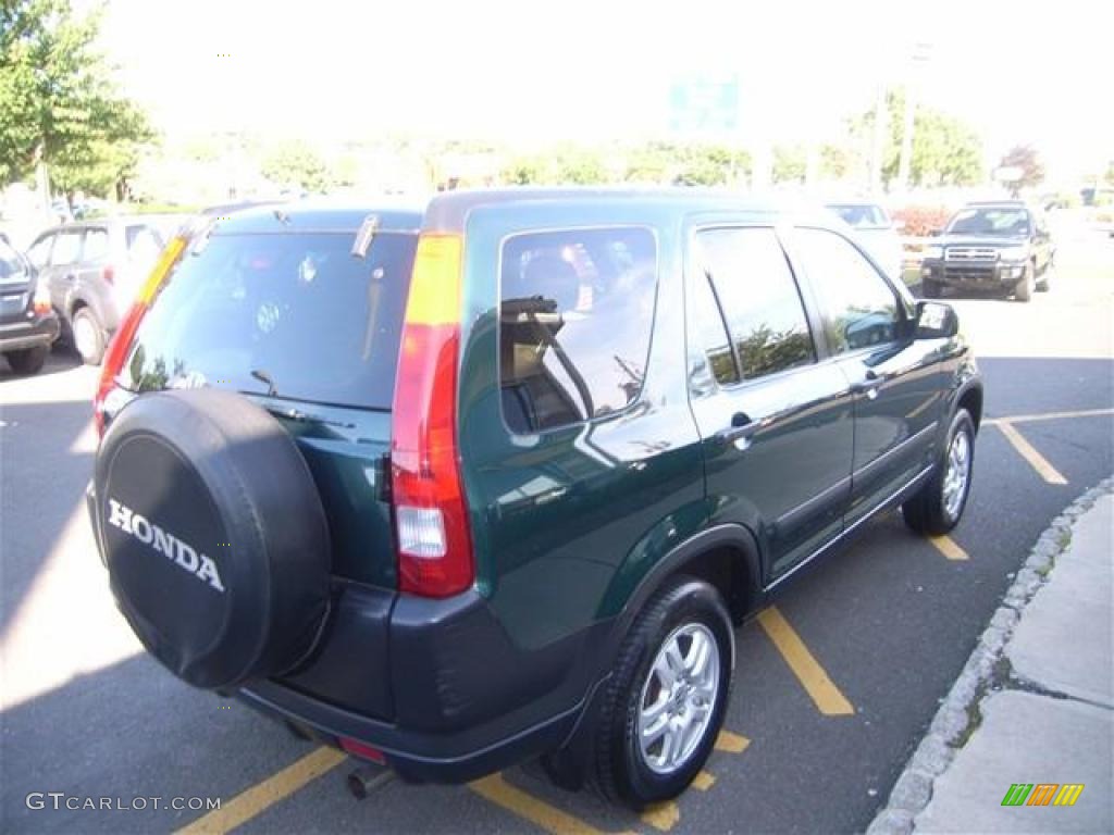 2003 CR-V EX 4WD - Clover Green Pearl / Saddle photo #5