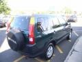 2003 Clover Green Pearl Honda CR-V EX 4WD  photo #5