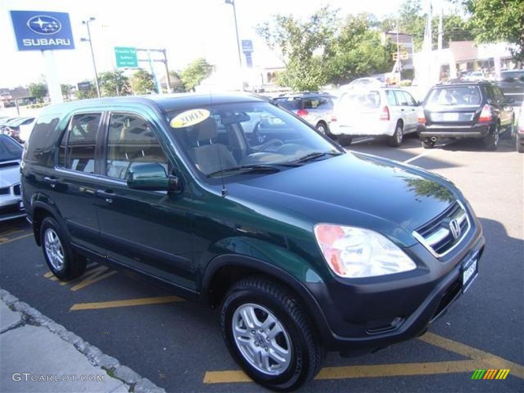 2003 CR-V EX 4WD - Clover Green Pearl / Saddle photo #6