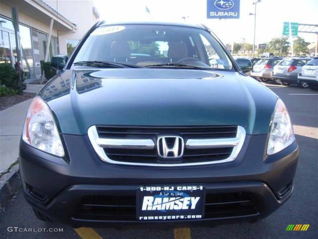 2003 CR-V EX 4WD - Clover Green Pearl / Saddle photo #7