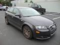 Lava Grey Pearl Effect - A3 2.0T Photo No. 4