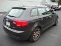 Lava Grey Pearl Effect - A3 2.0T Photo No. 7