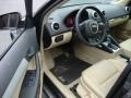 Lava Grey Pearl Effect - A3 2.0T Photo No. 12