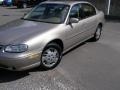 Sandrift Metallic - Malibu Sedan Photo No. 5
