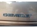 2004 Bronzemist Metallic Chevrolet Astro LS Passenger Van  photo #16