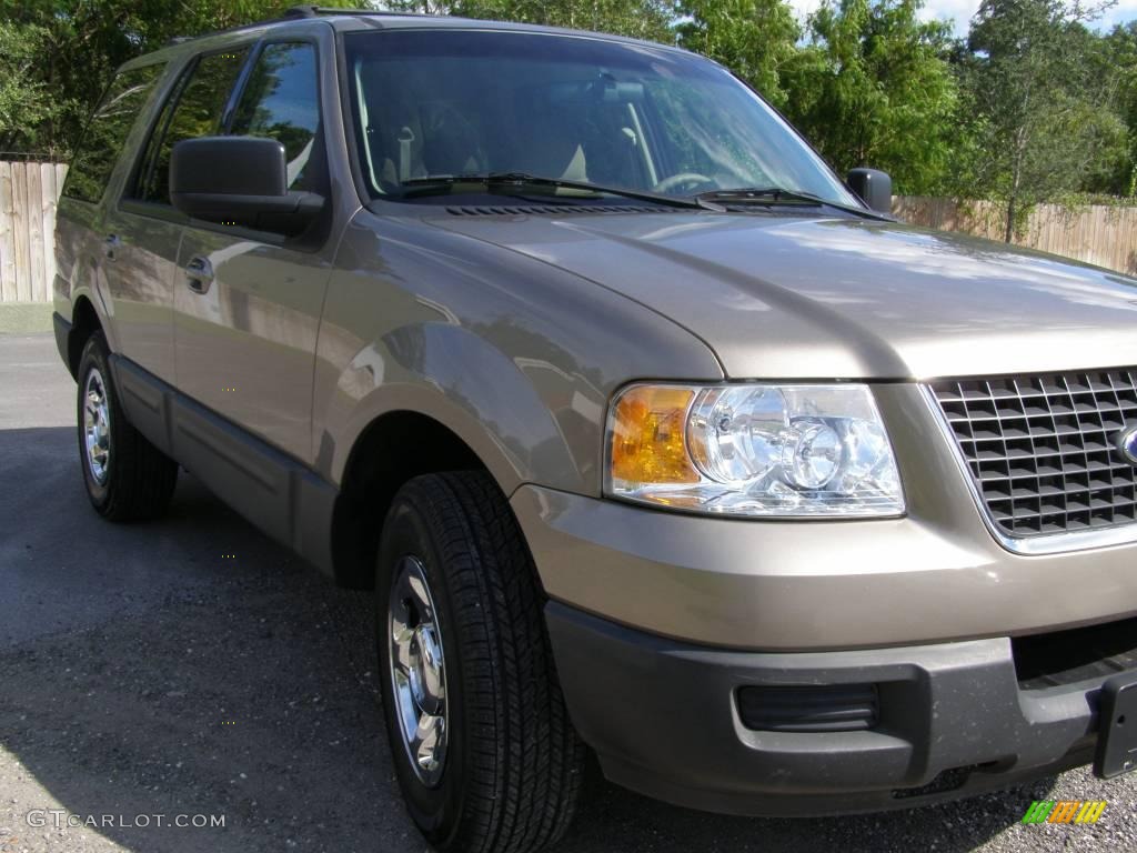 2003 Expedition XLT - Arizona Beige Metallic / Medium Parchment photo #2