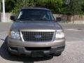 Arizona Beige Metallic - Expedition XLT Photo No. 3