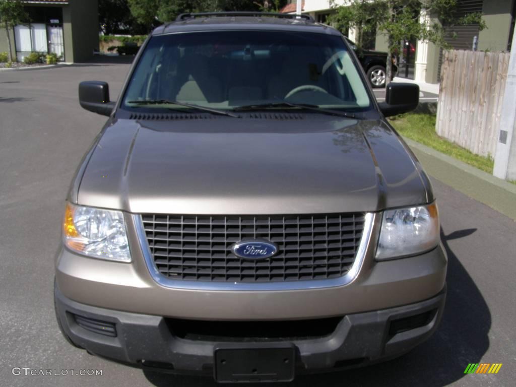 2003 Expedition XLT - Arizona Beige Metallic / Medium Parchment photo #4