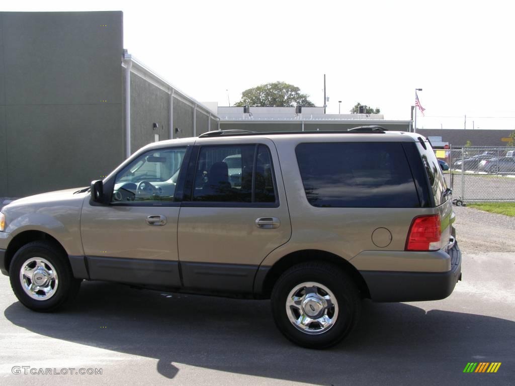 2003 Expedition XLT - Arizona Beige Metallic / Medium Parchment photo #6