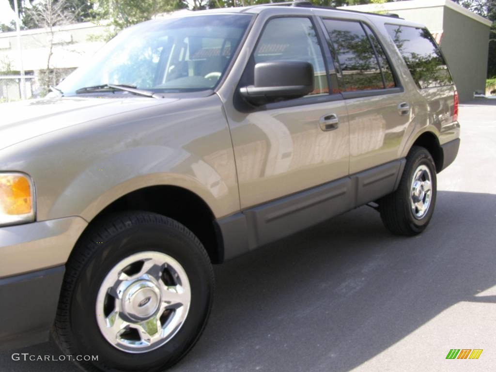 2003 Expedition XLT - Arizona Beige Metallic / Medium Parchment photo #10