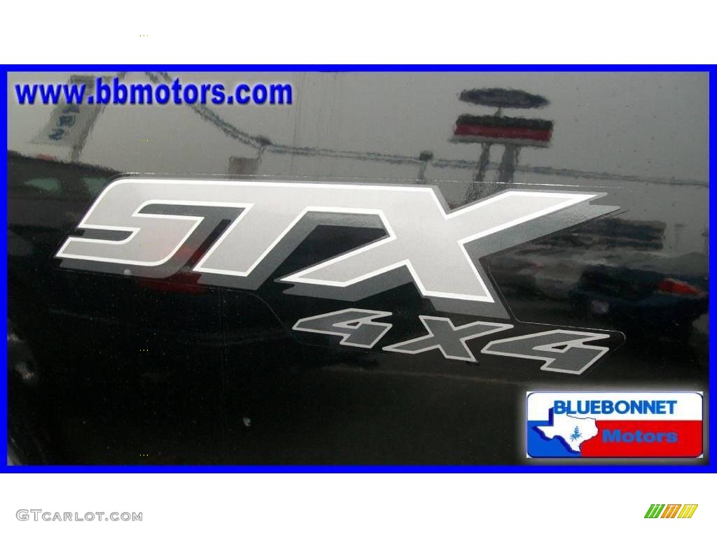 2006 F150 STX Regular Cab 4x4 - Black / Medium/Dark Flint photo #14