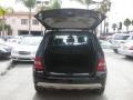 Black - ML 500 4Matic Photo No. 5