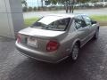 Gray Lustre Metallic - Maxima SE Photo No. 16