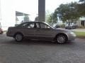 Gray Lustre Metallic - Maxima SE Photo No. 17