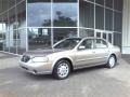 Gray Lustre Metallic - Maxima SE Photo No. 18
