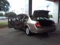 Gray Lustre Metallic - Maxima SE Photo No. 23