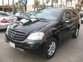 2006 Obsidian Black Metallic Mercedes-Benz ML 350 4Matic  photo #7