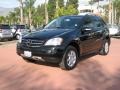 Black - ML 350 4Matic Photo No. 1