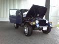 2006 Midnight Blue Pearl Jeep Wrangler X 4x4  photo #19