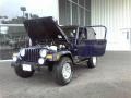 2006 Midnight Blue Pearl Jeep Wrangler X 4x4  photo #20