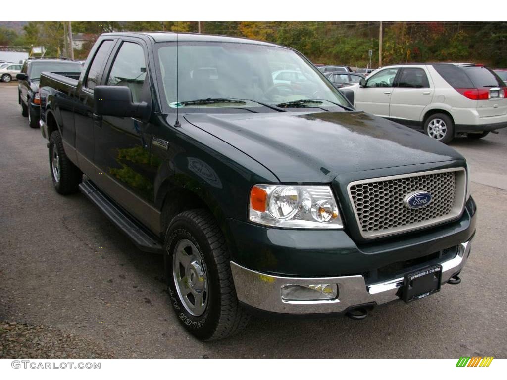 2005 F150 XLT SuperCab 4x4 - Aspen Green Metallic / Tan photo #15