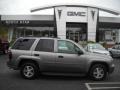Graystone Metallic - TrailBlazer LS 4x4 Photo No. 1