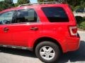 2009 Torch Red Ford Escape XLT V6  photo #24
