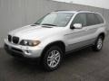 Titanium Silver Metallic - X5 3.0i Photo No. 1