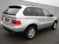 Titanium Silver Metallic - X5 3.0i Photo No. 2