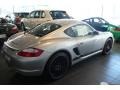 Arctic Silver Metallic - Cayman S Sport Photo No. 2