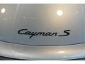 Arctic Silver Metallic - Cayman S Sport Photo No. 12