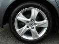 Polished Metal Metallic - TSX Sedan Photo No. 20