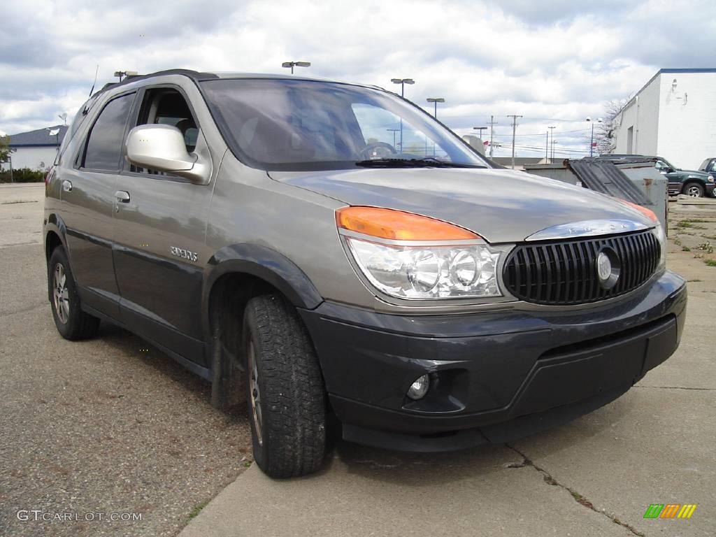 2002 Rendezvous CXL AWD - Pewter Metallic / Dark Gray photo #37