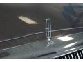 Medium Graphite Metallic - Town Car Executive Photo No. 15