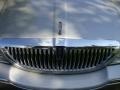 Silver Birch Metallic - Town Car Signature Photo No. 26