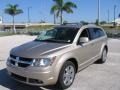 2009 Light Sandstone Metallic Dodge Journey R/T  photo #2