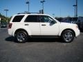 2010 White Suede Ford Escape XLT  photo #2