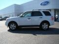 2010 White Suede Ford Escape XLT  photo #5