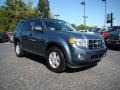 2010 Steel Blue Metallic Ford Escape XLT  photo #1