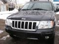 Brillant Black Crystal Pearl - Grand Cherokee Limited 4x4 Photo No. 5