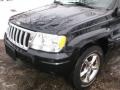 Brillant Black Crystal Pearl - Grand Cherokee Limited 4x4 Photo No. 15