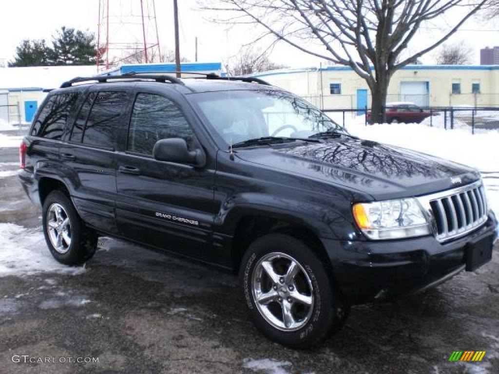 2004 Grand Cherokee Limited 4x4 - Brillant Black Crystal Pearl / Dark Slate Gray photo #24