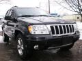 Brillant Black Crystal Pearl - Grand Cherokee Limited 4x4 Photo No. 52