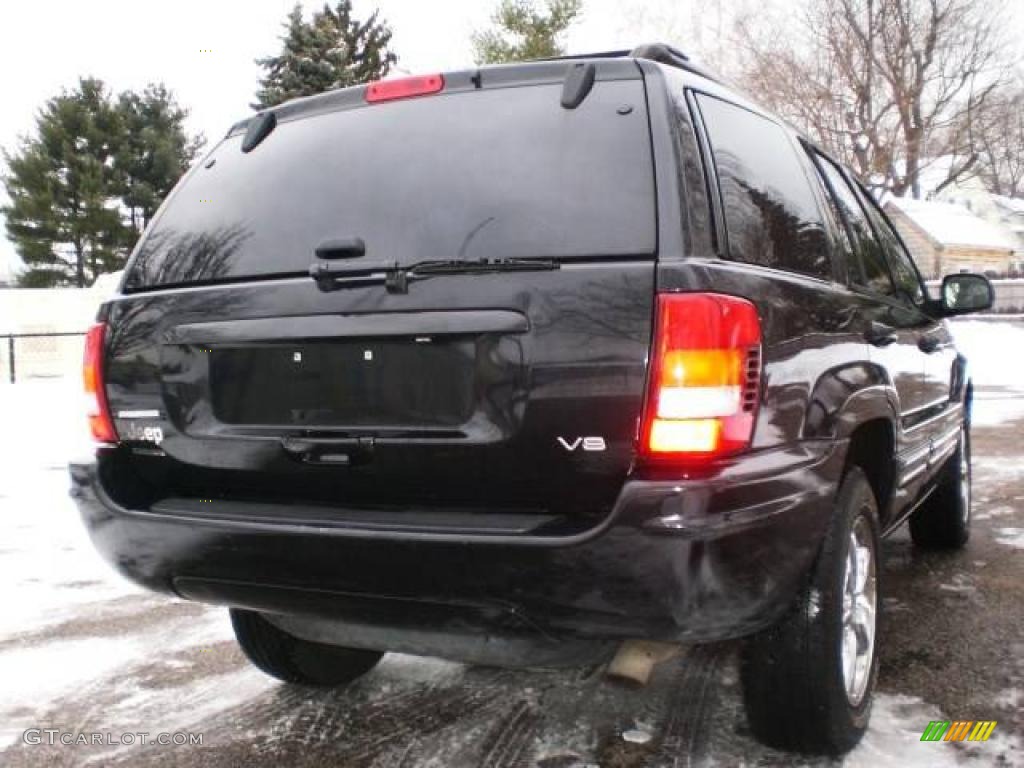 2004 Grand Cherokee Limited 4x4 - Brillant Black Crystal Pearl / Dark Slate Gray photo #59