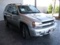 Moondust Metallic - TrailBlazer LS 4x4 Photo No. 4