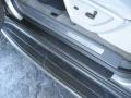 Moondust Metallic - TrailBlazer LS 4x4 Photo No. 18